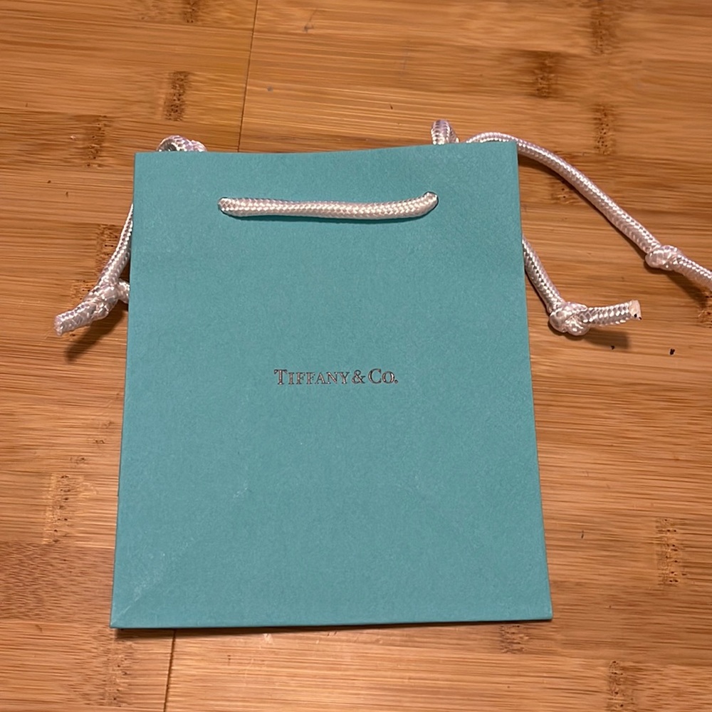 Tiffany & Co Authentic Tiffany gift bag small